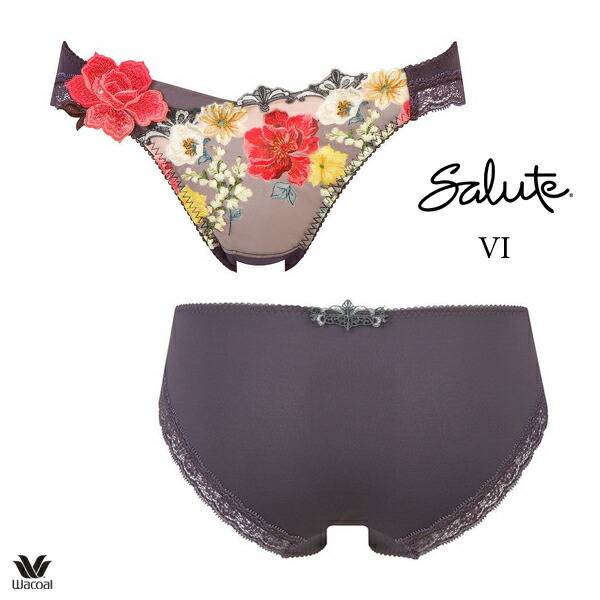 ワコール サルート 93G ショーツ PTJ793 M・L ハイレッグ(ノーマル