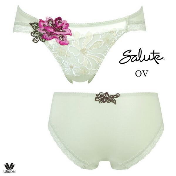 ワコール サルート 96G ショーツ PTJ796 M・L ハイレッグ(ノーマル