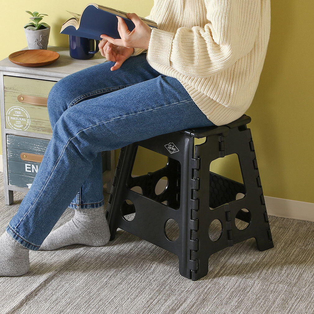 ファンシー] bzl-16 折りたたみ椅子 コンパクト アウトドア 踏み台 高