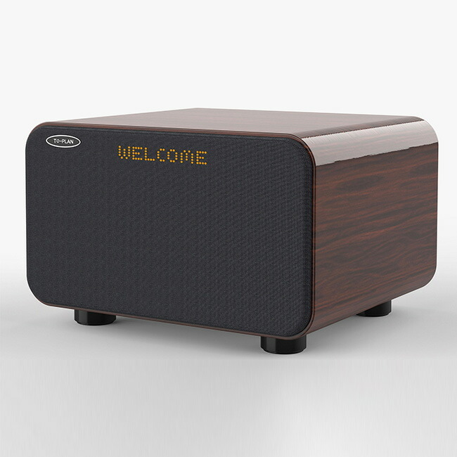 アンプ内蔵カラオケスピーカー サウンドプロMAX TKMI-008[カラオケ