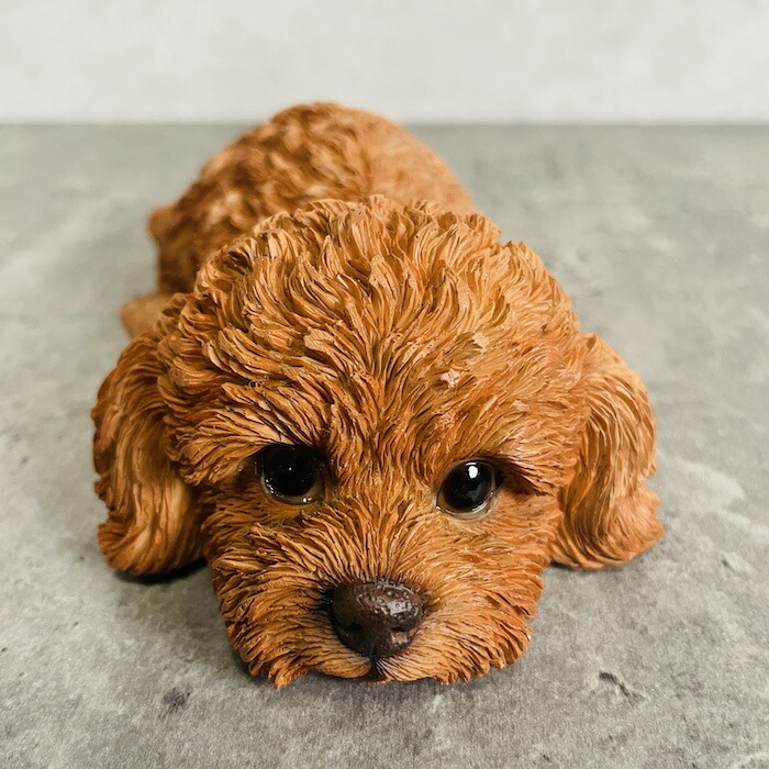 かわいい 犬 置物 うつ伏せトイプードル ブラウン 玄関 動物 おしゃれ