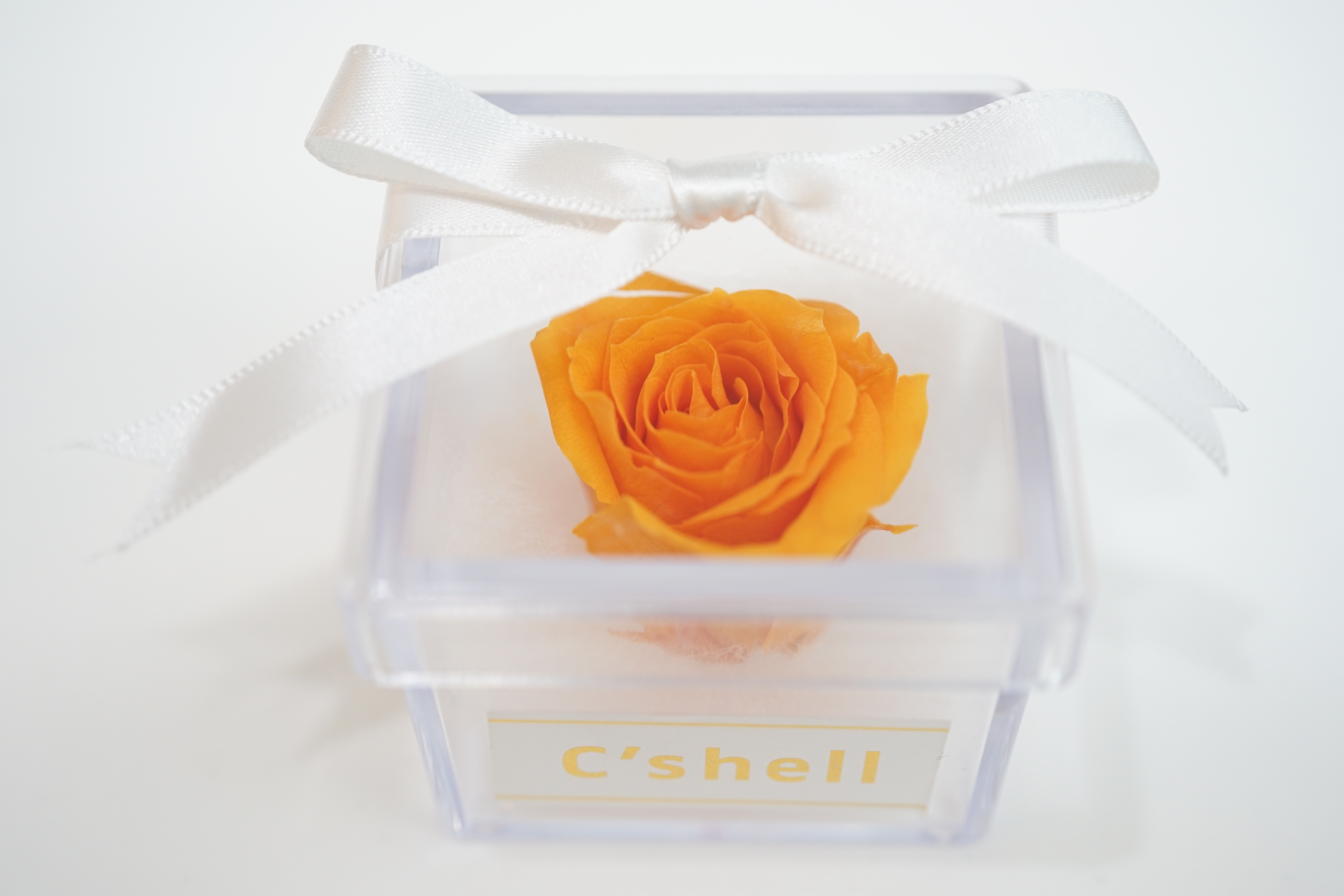 クリスタルローズボックス ｜ プリザーブドフラワー - 【C'shell