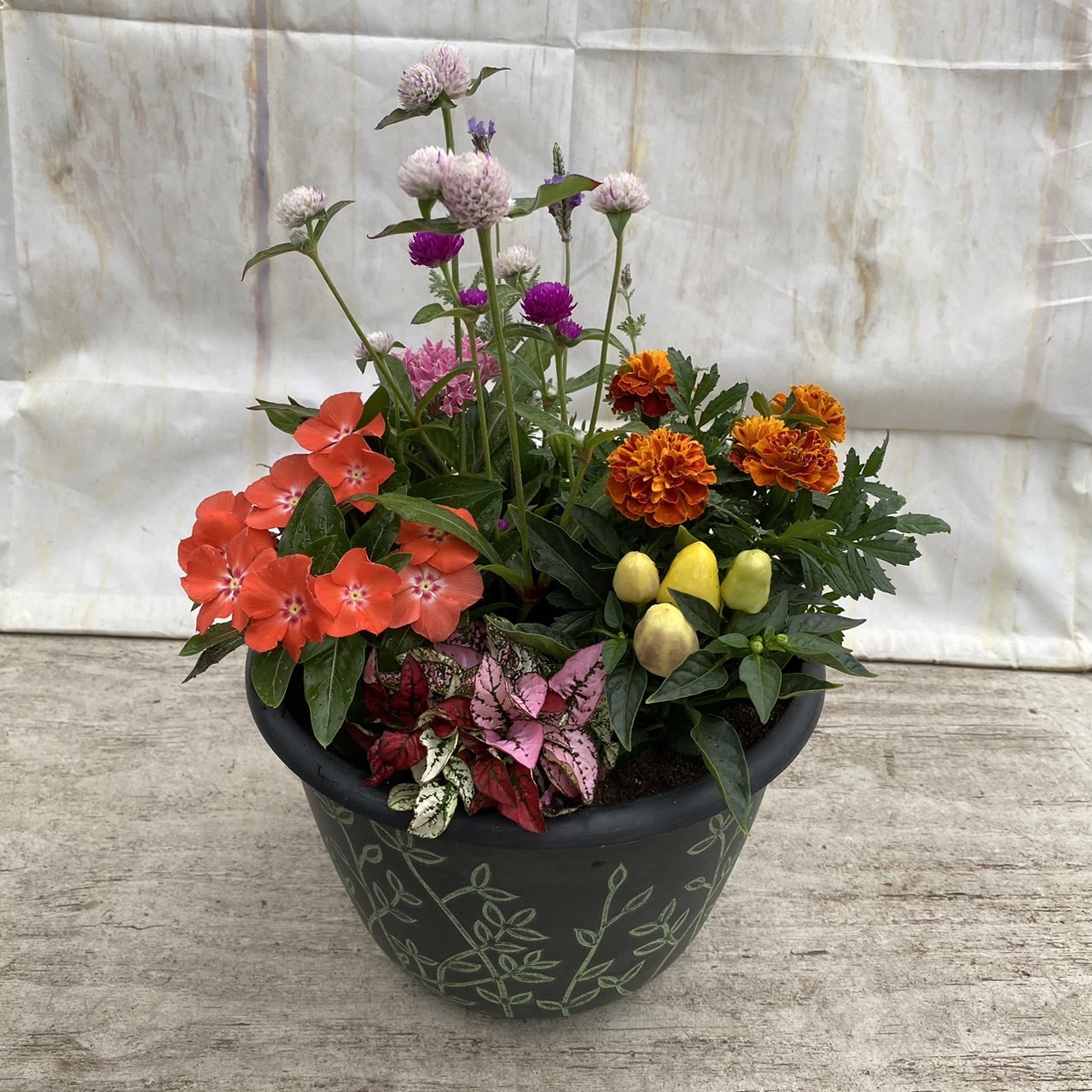 季節の寄せ植え リーフ柄 軽量プラスチック鉢 内径24cm （グリーン ・4