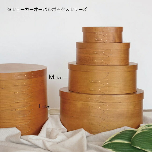 シェーカーオーバルボックス M・Lセット[アクシス AXCIS シェーカー