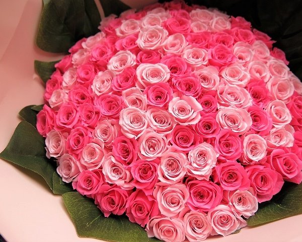 プロポーズ 彼女 ピンクバラ 2種108本 花束 枯れない プリザーブド