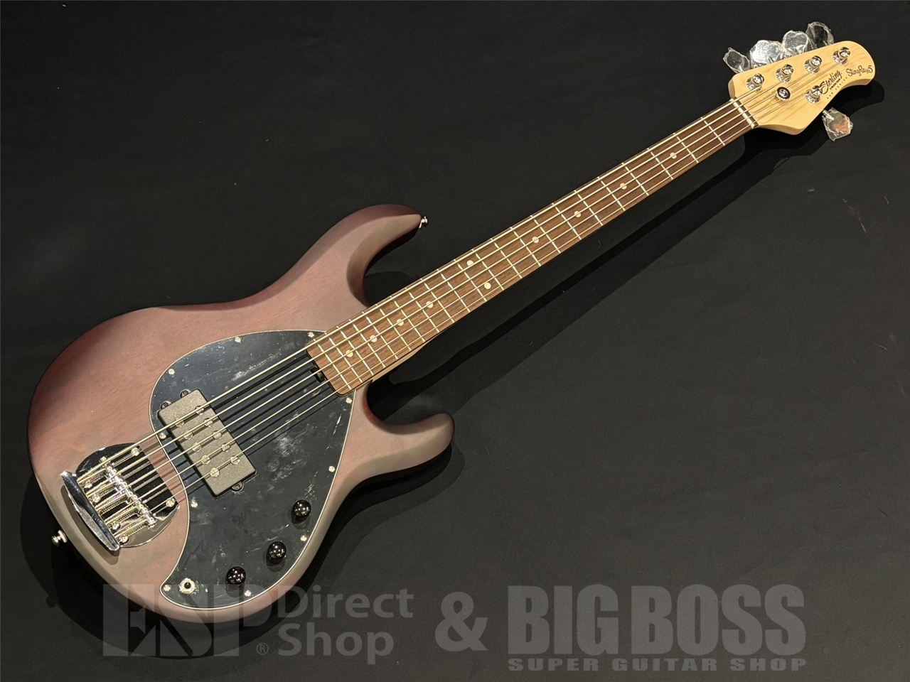 Sterling by MUSIC MAN SUB STINGRAY RAY5 / Walnut Satin（新品/送料