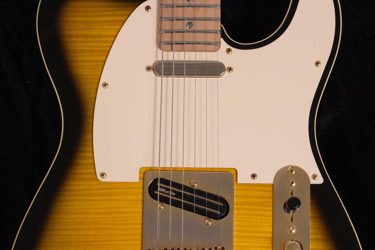 Fender Japan Exclusive TLR-RK Richie Kotzen Signature Telecaster