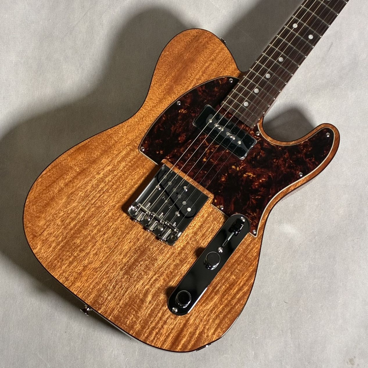 Tokai ATE103S（新品/送料無料）【楽器検索デジマート】