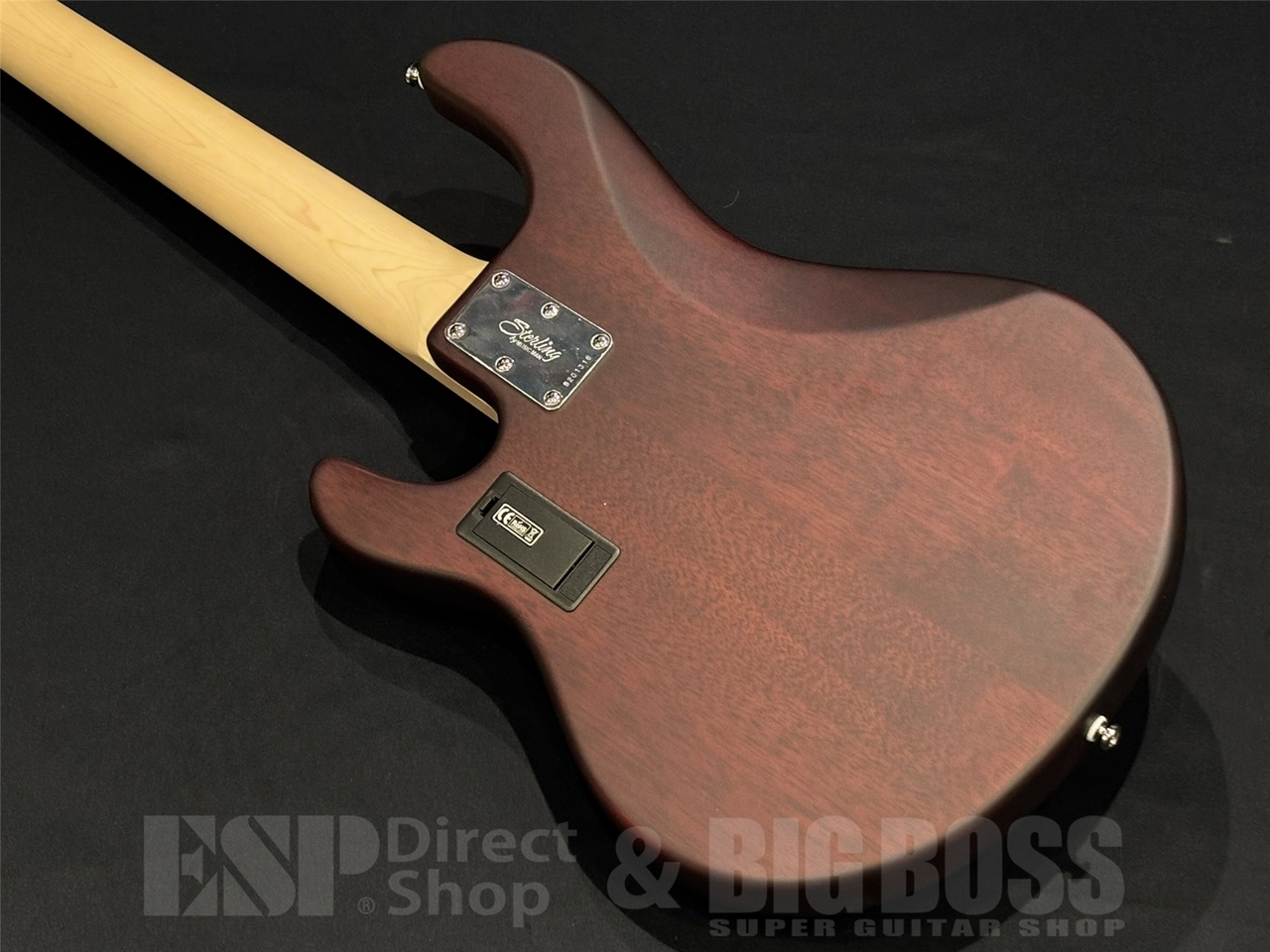 Sterling by MUSIC MAN SUB STINGRAY RAY5 / Walnut Satin（新品/送料
