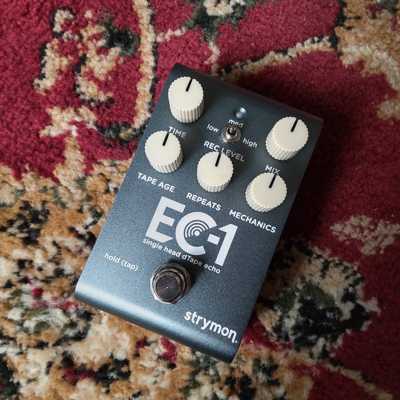 strymon EC-1（新品/送料無料）【楽器検索デジマート】