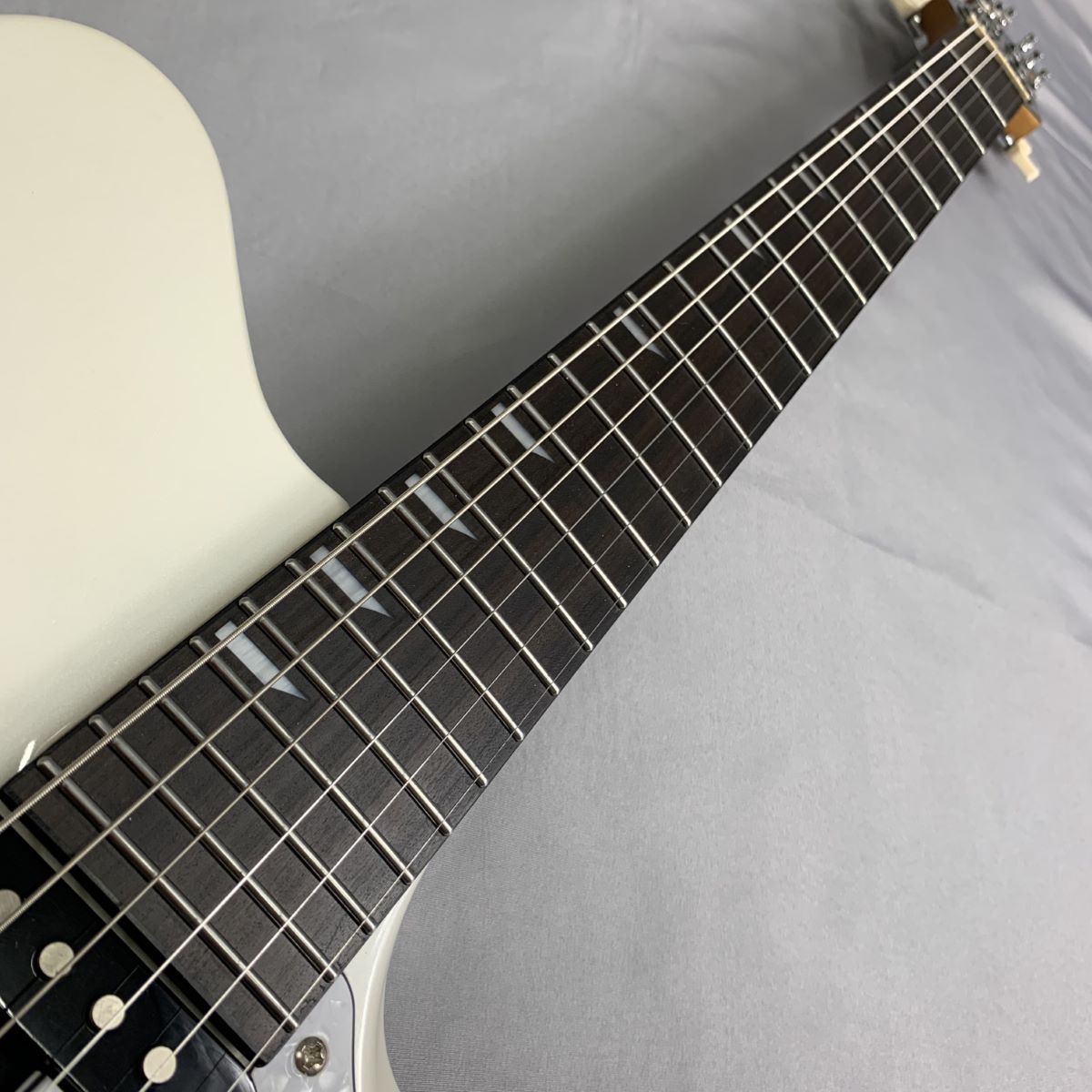 RYOGA SKATER/LE エレキギター【キズ有り特別価格】（新品特価/送料