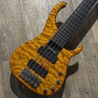 Modulusの検索結果【楽器検索デジマート】