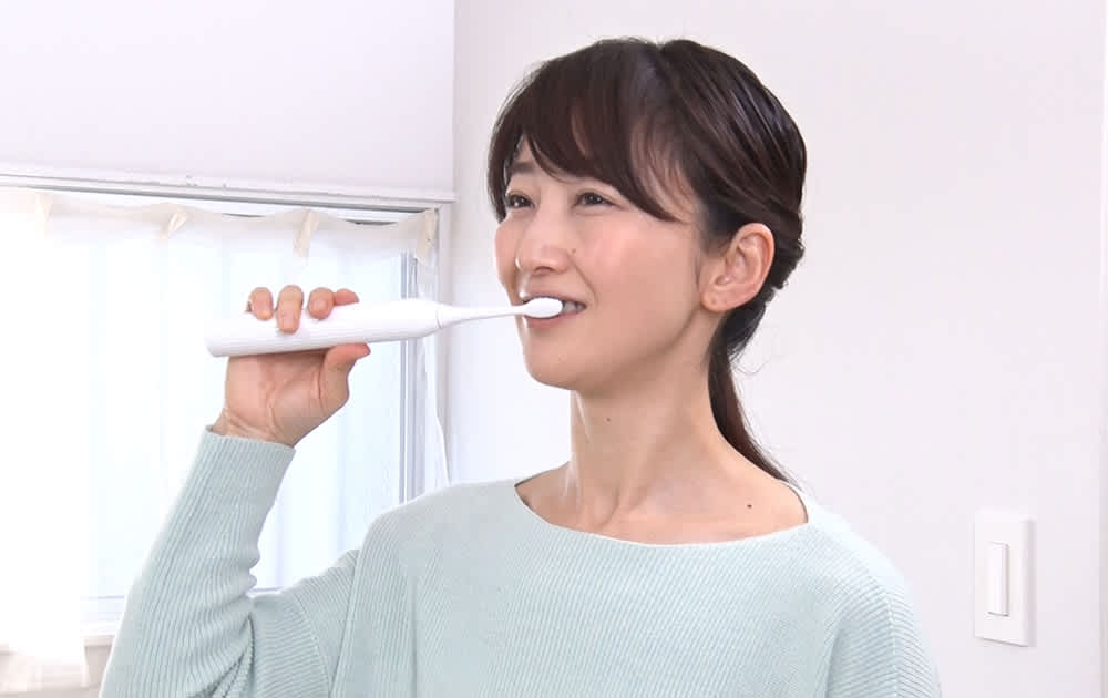 音波振動歯ブラシ シャインピュア 特別セット 通販 - ディノス