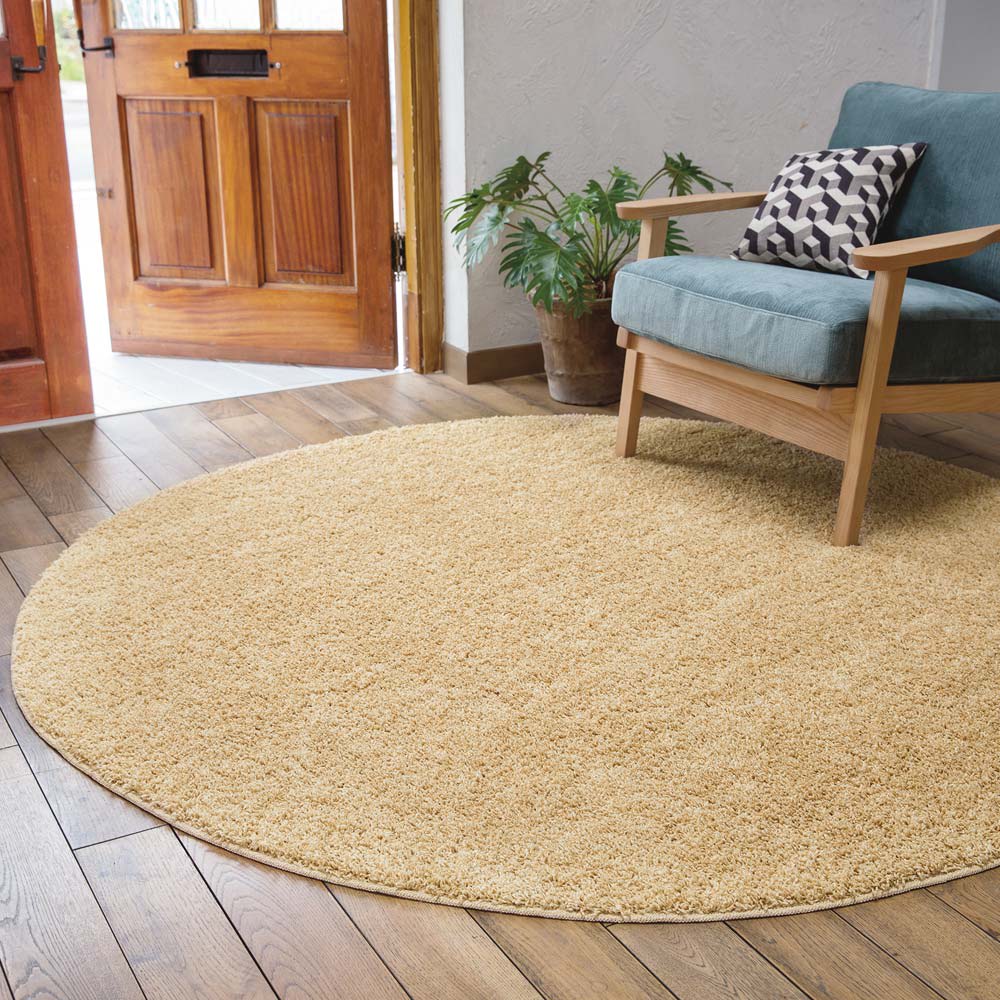 アクセント ラグ 円形」の人気商品一覧 | 安い商品を通販サイトから