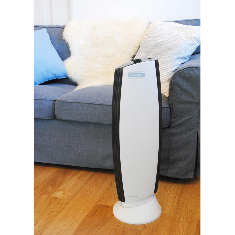 イオニックブリーズ GRANDE 通販 - ディノス