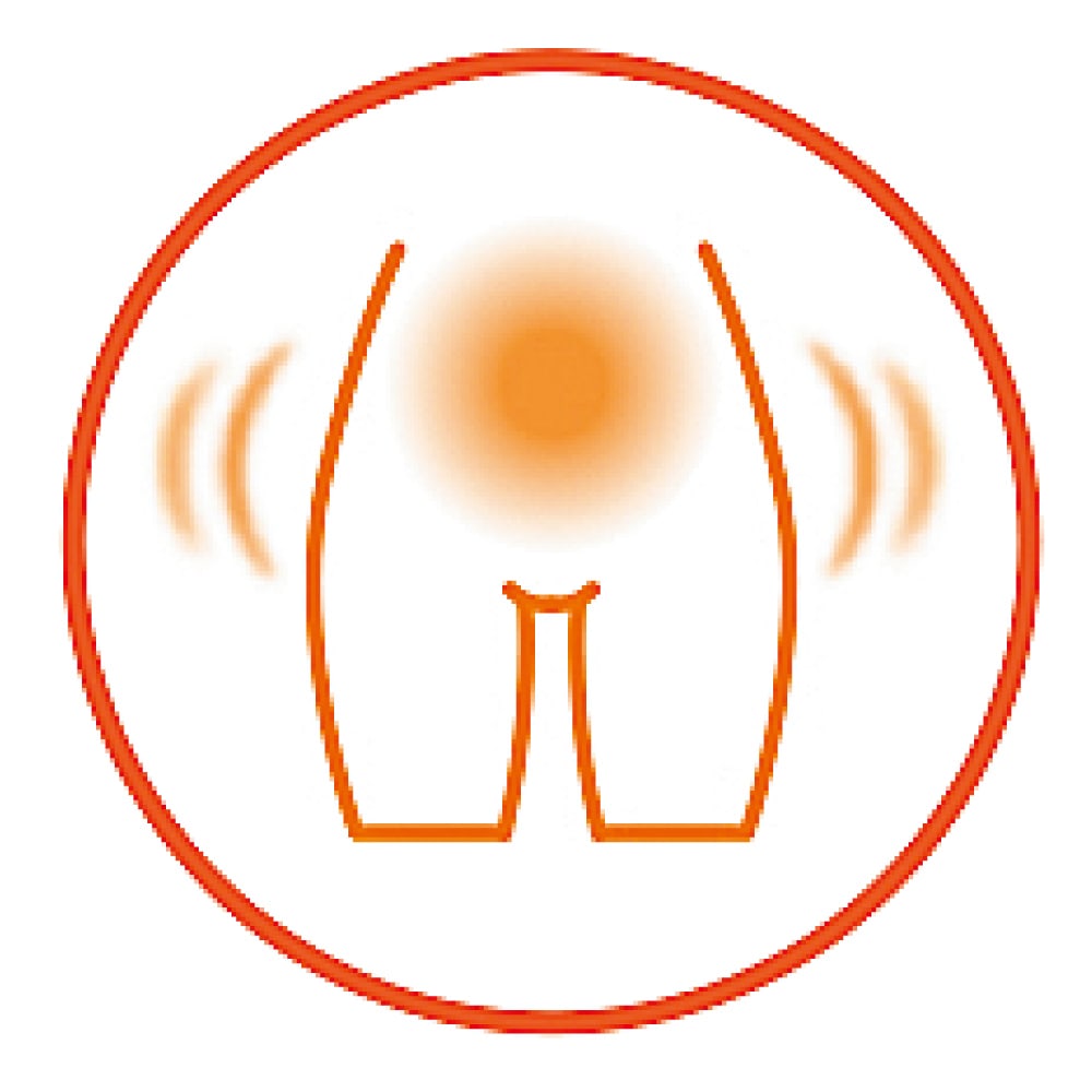 SIXPAD/シックスパッド 骨盤底筋ケアガードル 通販 - ディノス