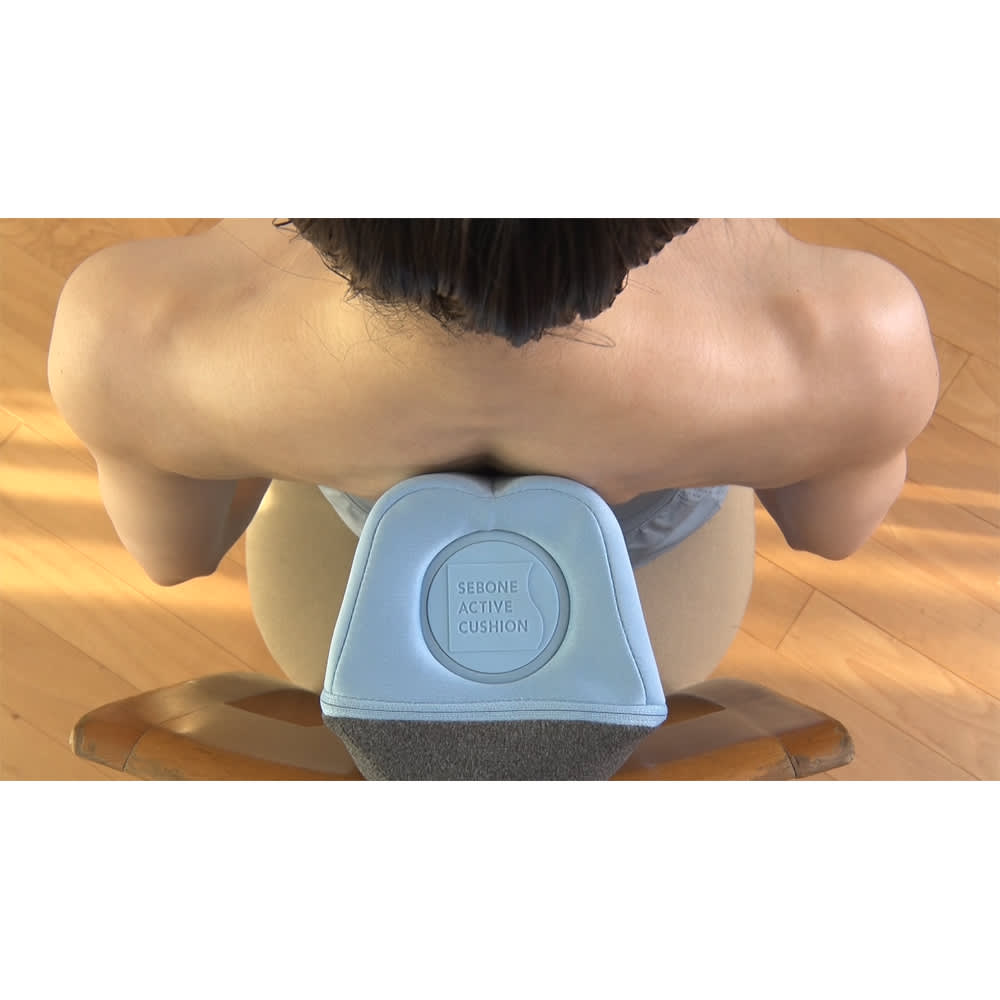 背骨アクティブクッション 通販 - ディノス