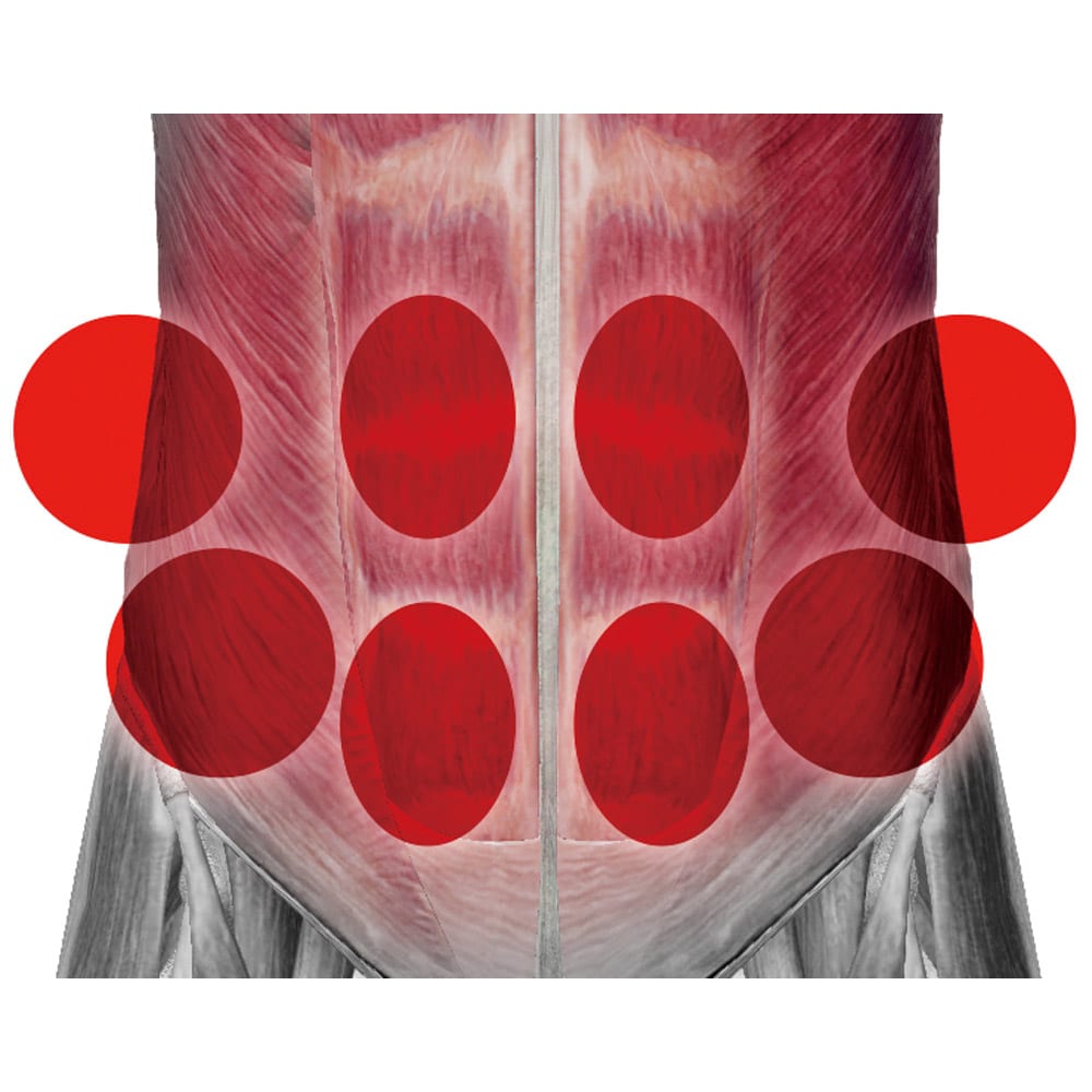 TBC スレンダーパッド2DX専用 交換用ジェルパッド（楕円形4枚・丸形4枚