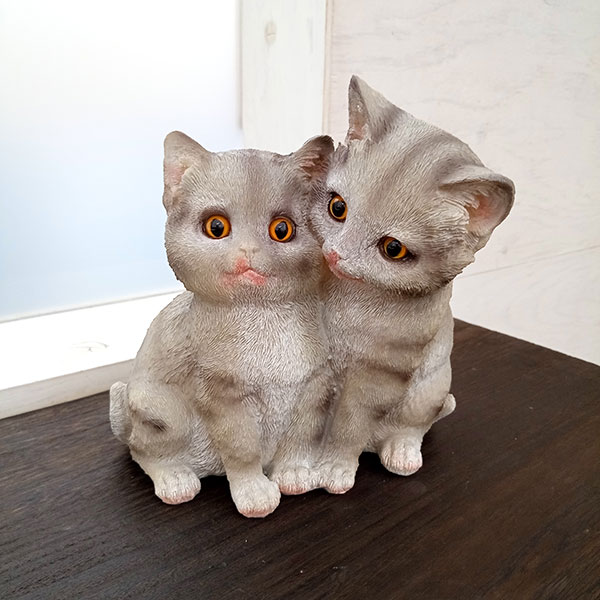 園芸ネット本店｜（わけあり特価）キティーズ・アメショ（TS-25） の