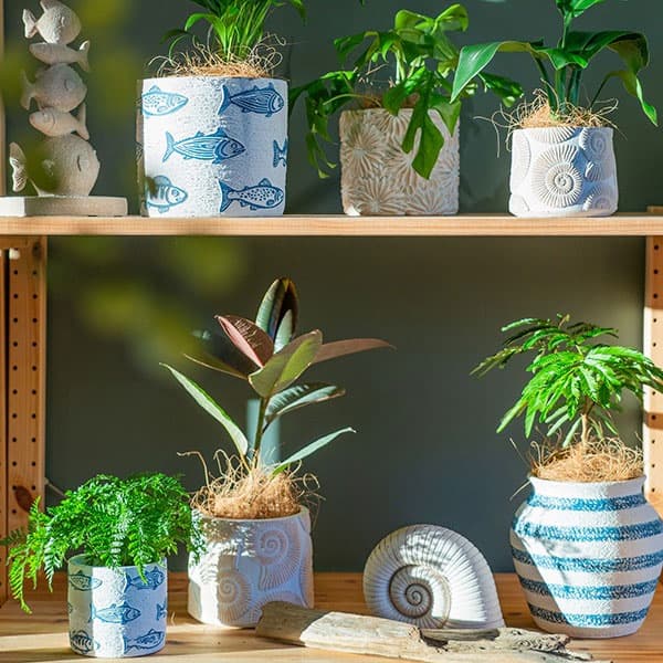 園芸ネット本店｜アンモナイトポット14（45409） の通販【公式】