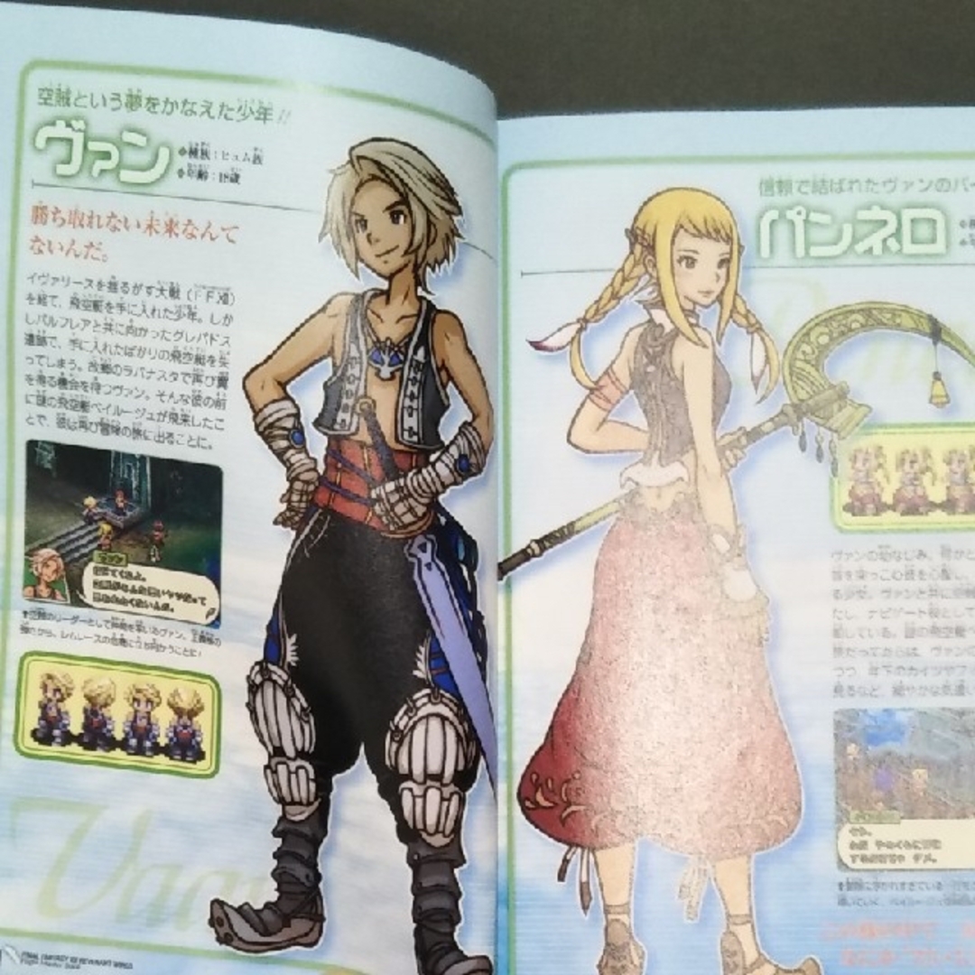 ニンテンドーDS - 任天堂DS 攻略本付 ファイナルファンタジーⅫ