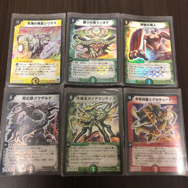 デュエルマスターズ - スギちゃん様専用 デュエルマスターズ デュエマ