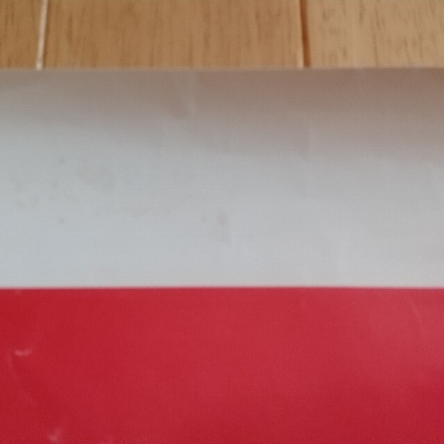 ロジャーテイラー(クイーン) ポスターの通販 by ぱるちゃ's shop｜ラクマ