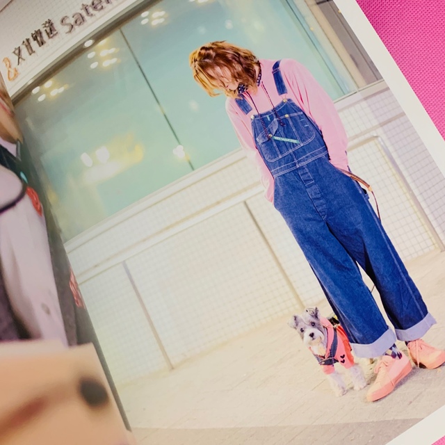 三浦涼介、写真集、朝ステ公式ファンブック、ブロマイド、クリア