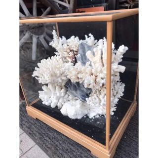 1585334035.jpg?1654350889