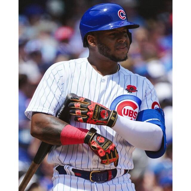 FRANKLYN - フランクリンバッティンググローブ メモリアルデー限定 L