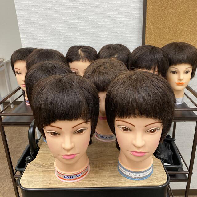 美容師国家試験実技用 カットウィッグ16体 練習用カットウィッグ 女性