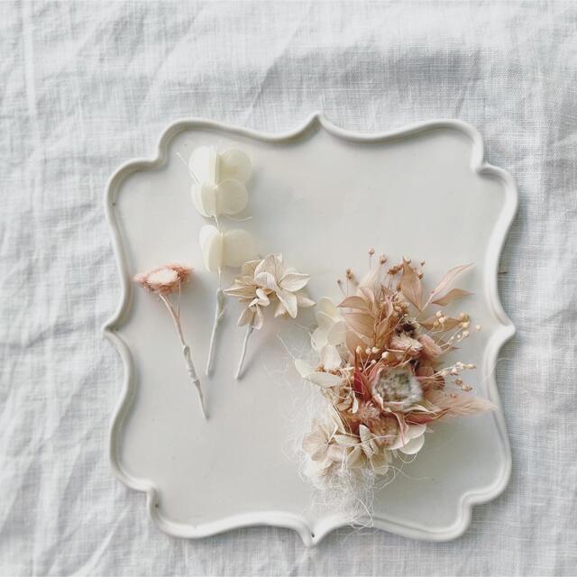 折れ対策あり 割引 ヴァイスシュヴァルツ マルコ・ポーロ SP サイン