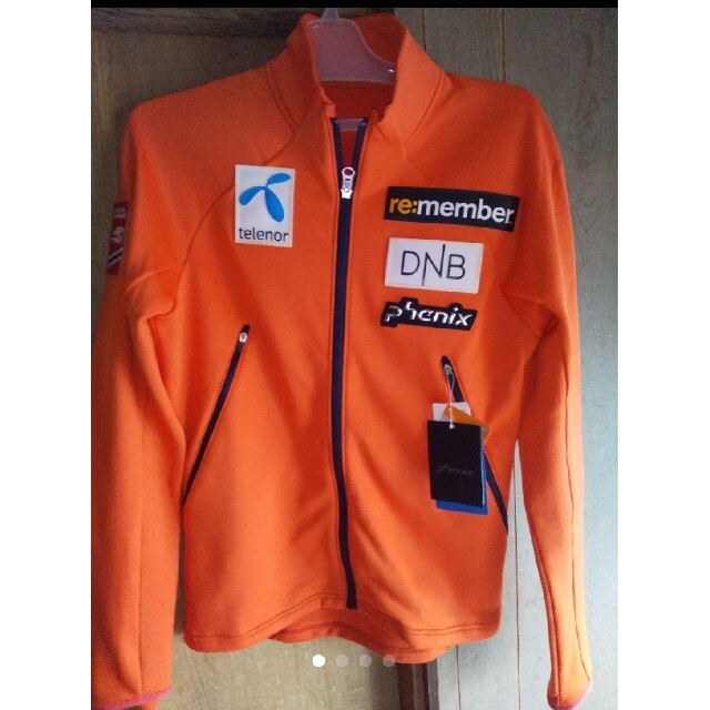 GOLDWIN ゴールドウィン スウェーデンチームモデル ジャケット GOLDWIN