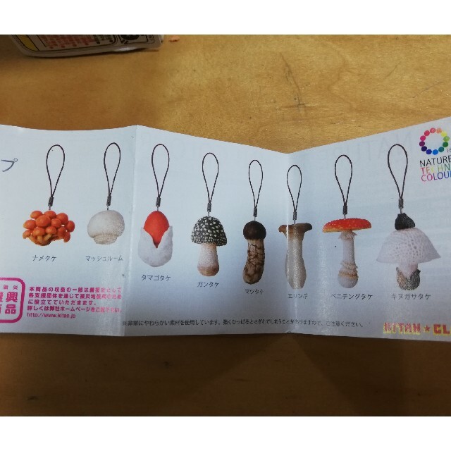 キノコソフトストラップ10種類 難有りの通販 by ネネもも's shop｜ラクマ