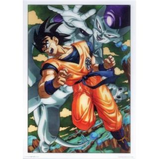 ドラゴンボールZ フリーザ編 プラ製ビジュアルアートポスター 鳥山明