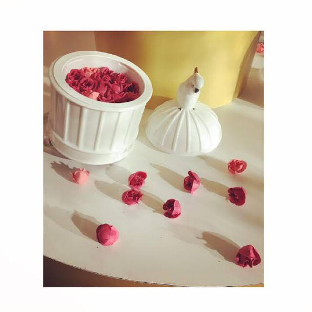 未使用 6THアニバーサリー チーク オウム LADUREE