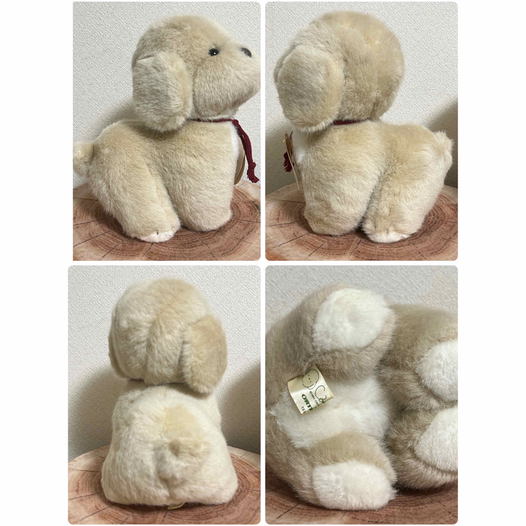 うめ吉 犬 ぬいぐるみ ベージュ＆ホワイト 2匹セットの通販 by meria's