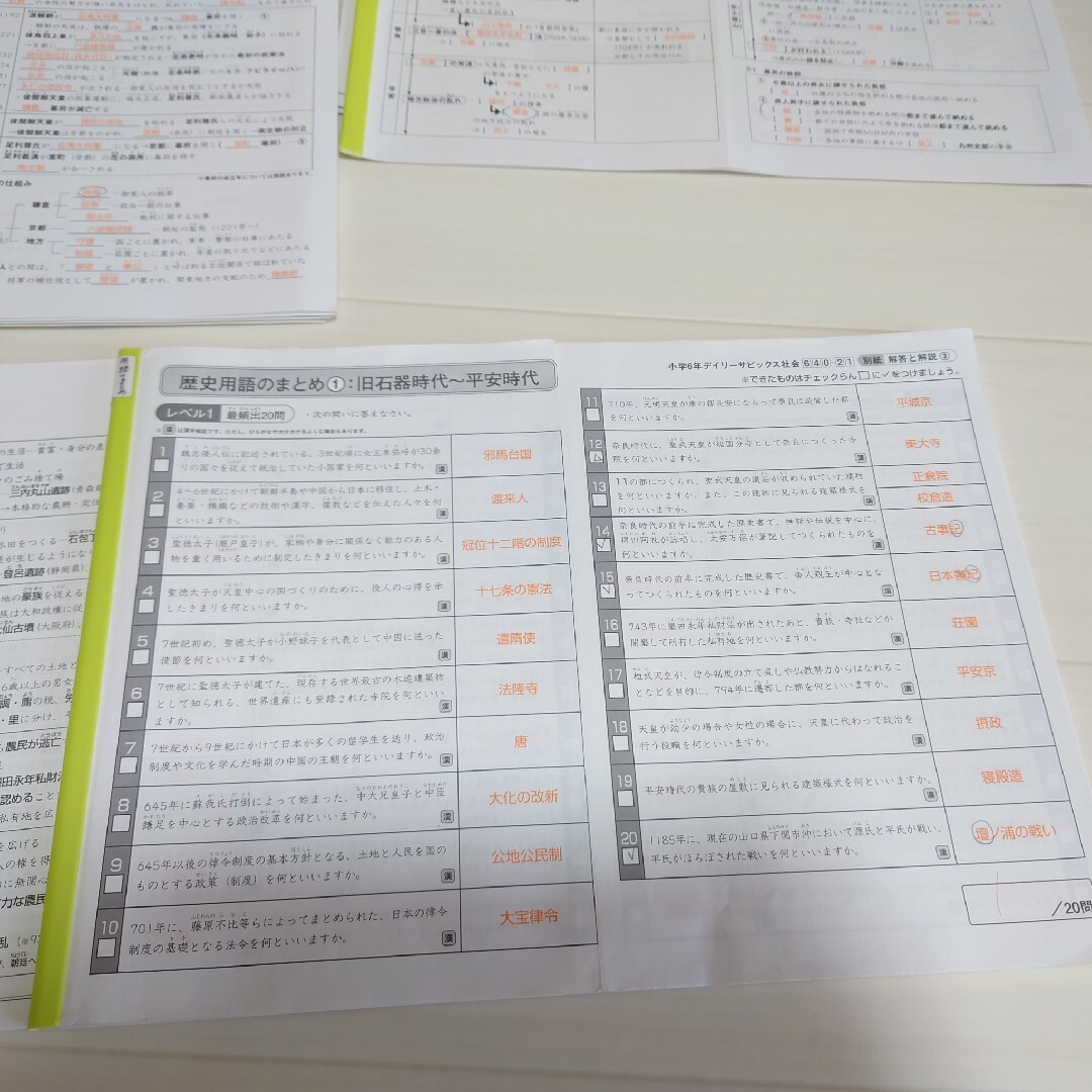 専用 SAPIX サピックス6年 社会 暗記全網羅 中学受験 地理•歴史•公民の