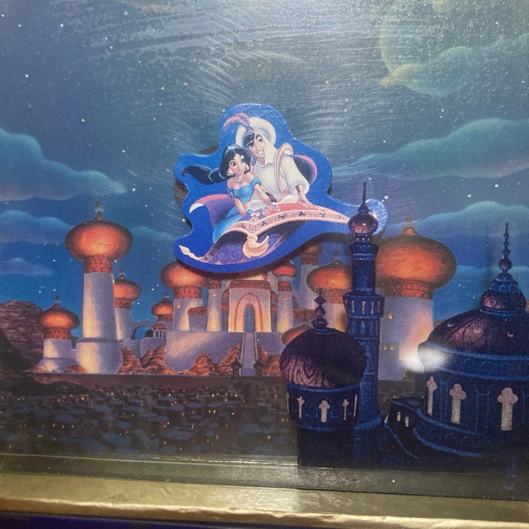 Disney - ディズニーランド限定 魔法の絨毯に乗ったアラジンと