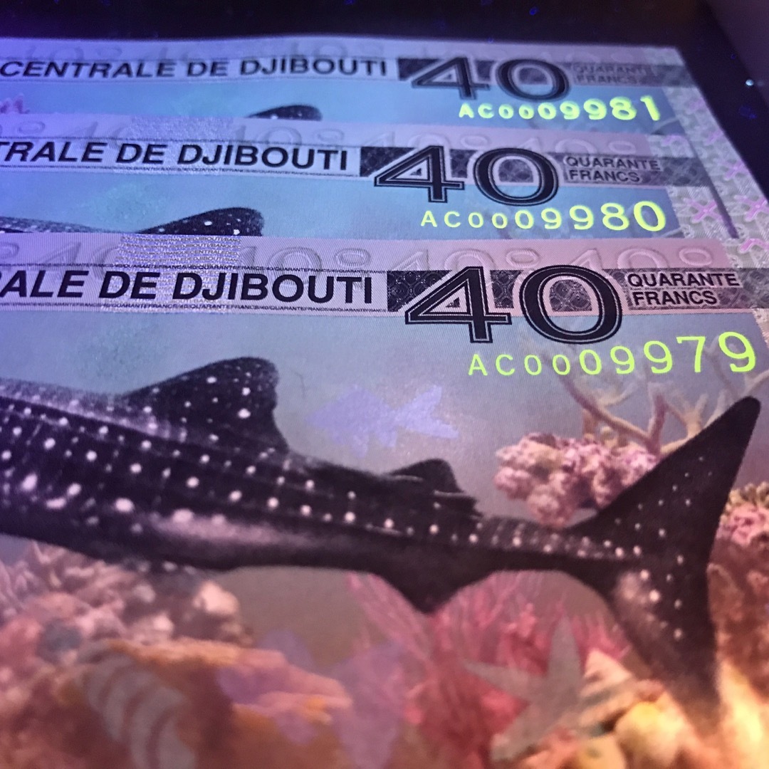 完全未使用級 希少レア 3連番 ジンベイザメ ジンベイサメ 鮫シャーク