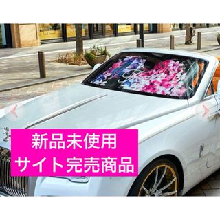 Rady（自動車）のフリマアイテム一覧