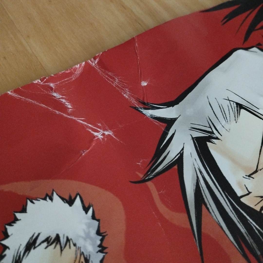 家庭教師ヒットマンREBORN!ポスター2枚の通販 by ふるべるフリマ｜ラクマ