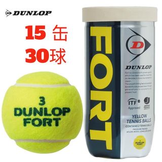 DUNLOP - 【早い者勝ち】ソフトテニス ボール ダンロップ 2ダース 24球