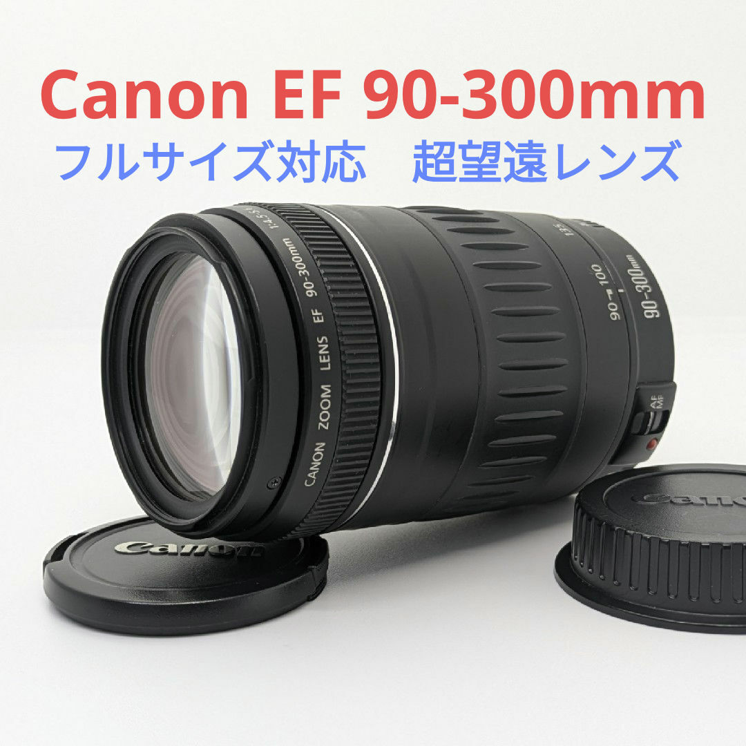 レンズが残す絆！ Canon キヤノン EF90-300mm 望遠レンズ#1 レンズが