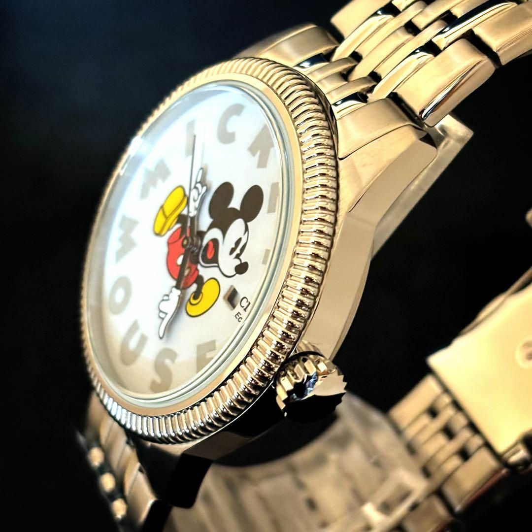 CITIZEN - 【激レア】ディズニーパーク シチズン エコドライブ