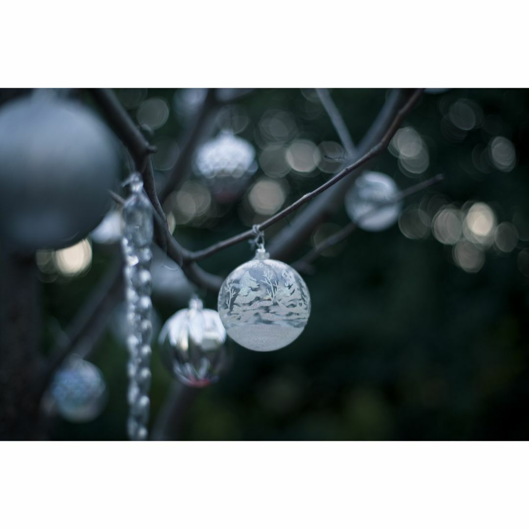 CONTAX - 希少黒刻印！標準の帝王 Planar 50mm F1.4 AEJ オールド