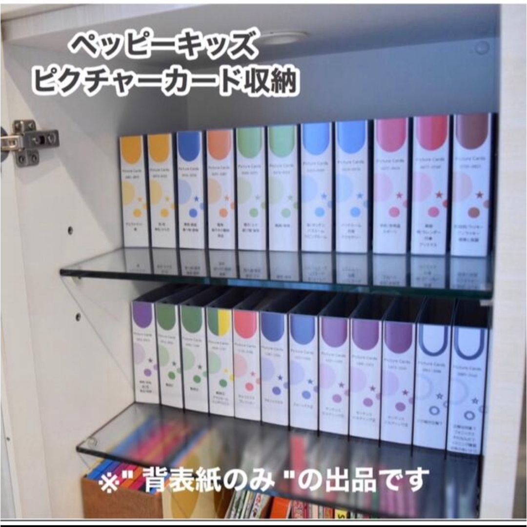 ペッピーキッズ ピクチャーカード収納 カード収納 モラモラ先生