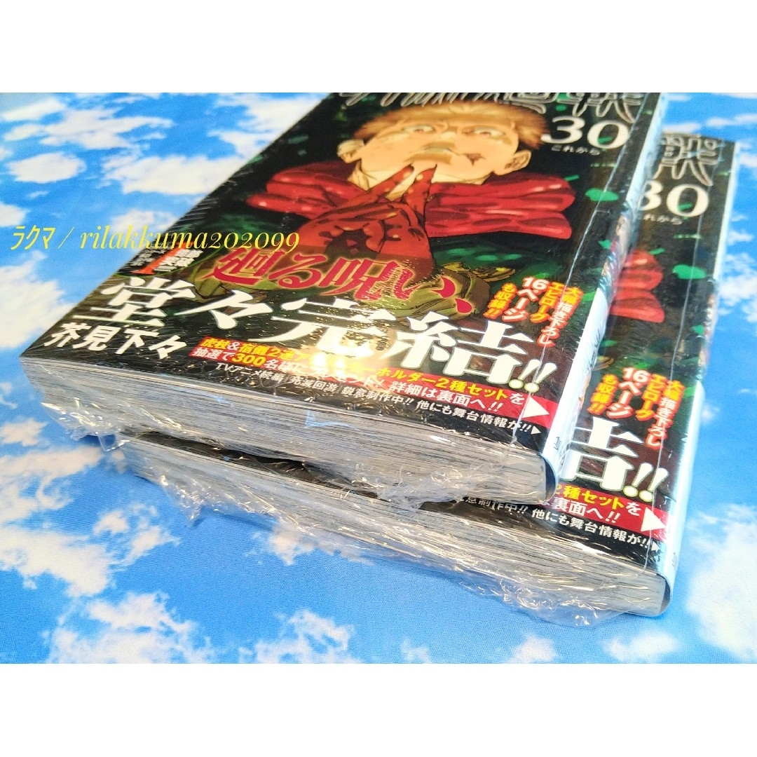 呪術廻戦 - 初版 匿名配送 呪術廻戦 コミックス 30巻 最終巻 2冊セット