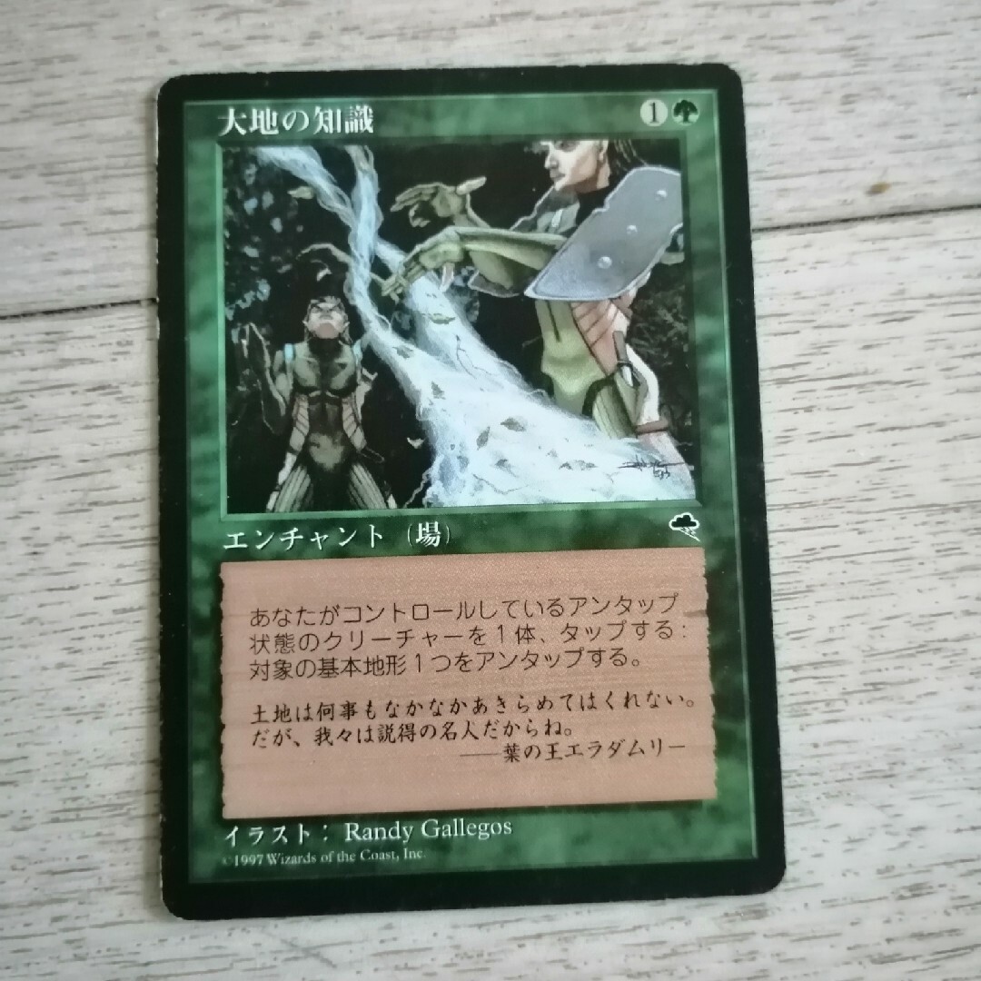 マジックザギャザリング 大地の知識(日本語) 2枚セット MTG 大地の