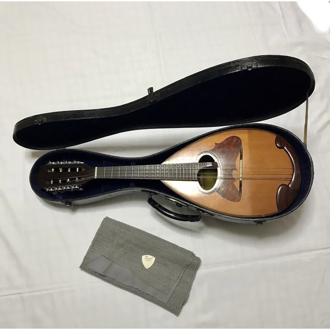 石川捷二郎監修 Venezia マンドリン M-50 木曽鈴木バイオリン社